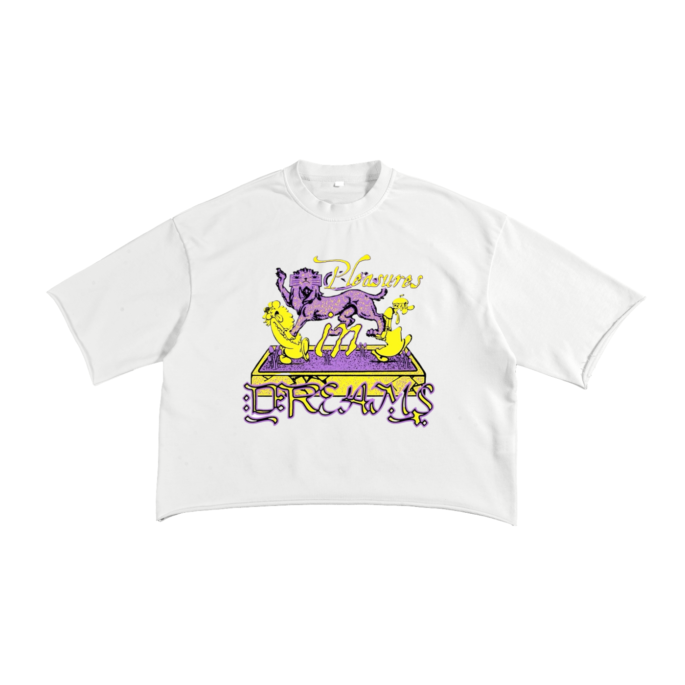 "Pleasure Dreams" Boxy Tee