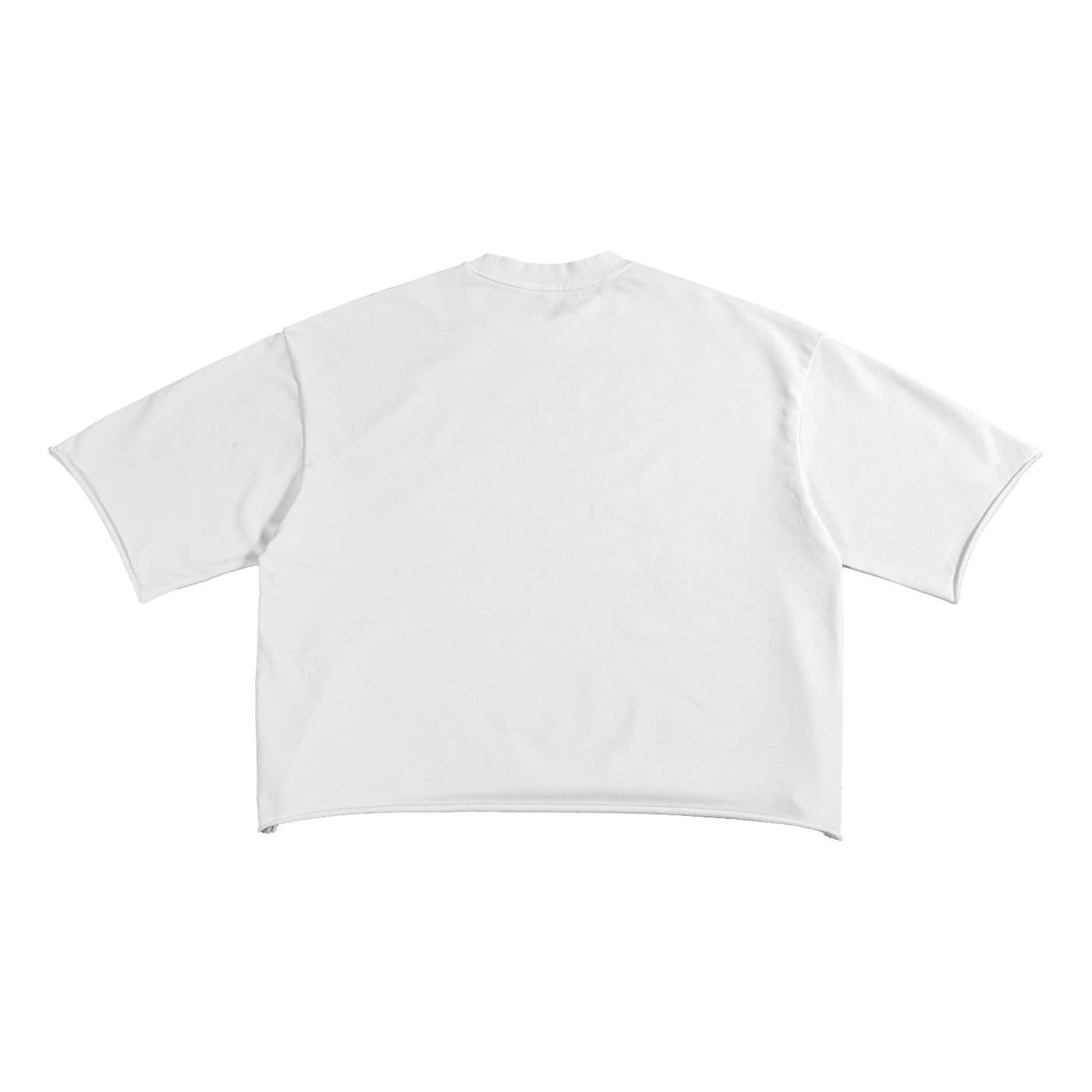 "Pleasure Dreams" Boxy Tee